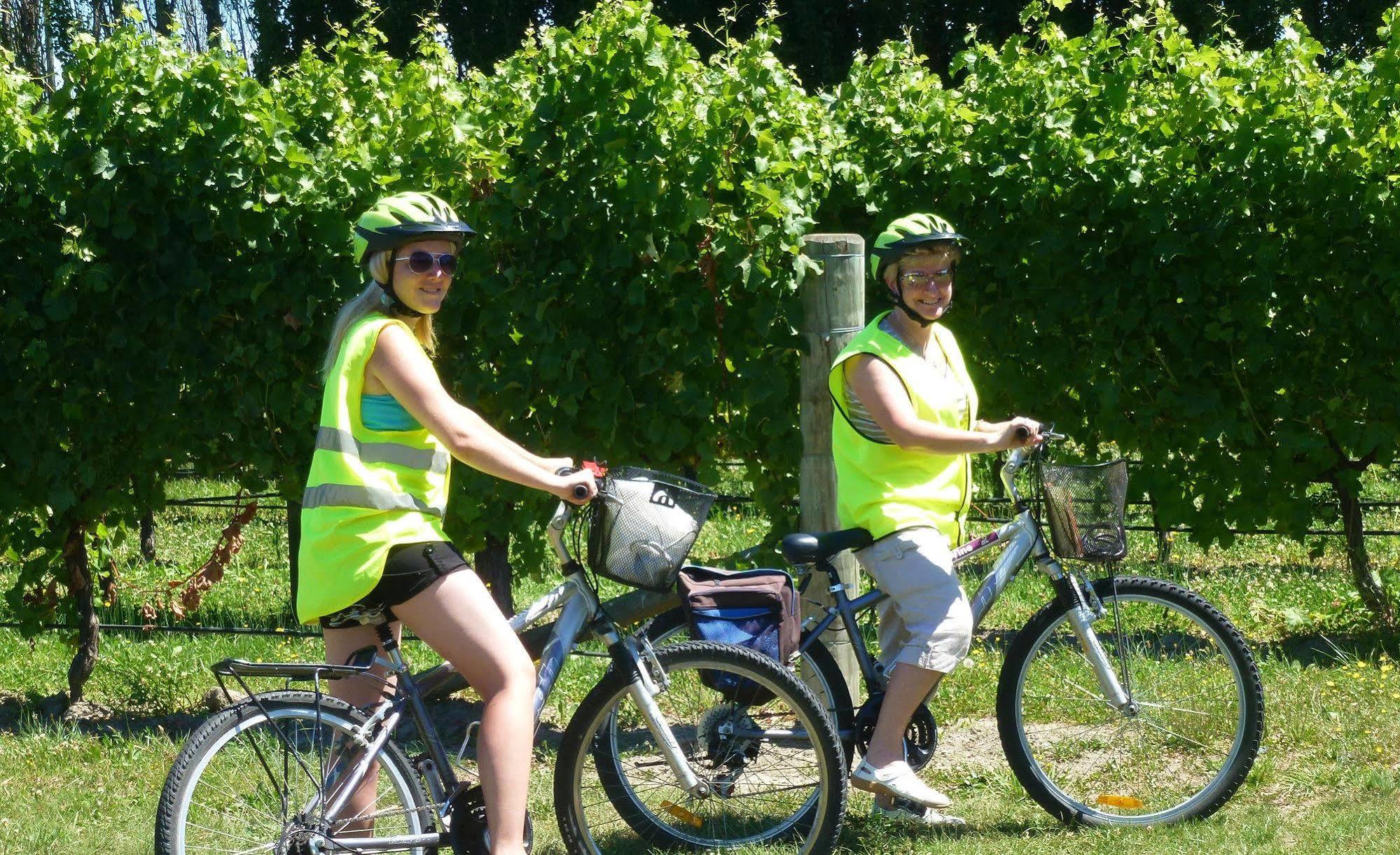 Olde Mill House B&B & Bike2Wine Cycle Hire Renwick エクステリア 写真